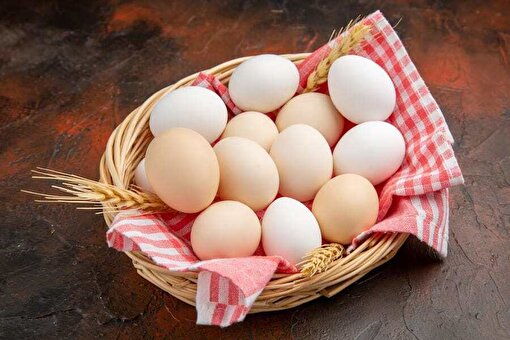 - قیمت تخم مرغ در ۳۹ کشور جهان؛ ایران گران‌تر از سوئیس!