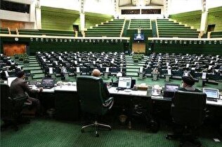 - ایرانیان مهاجر و عاشق وطن حق داشتن نماینده در مجلس را دارند؟