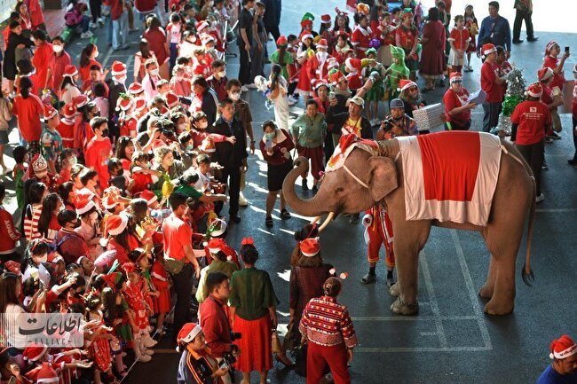 فیل بزرگ به کودکان تایلندی هدیه کریسمس می‌دهد +تصاویر