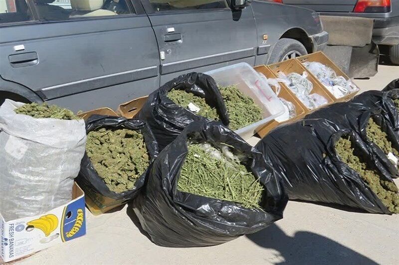 - متهمان قاچاق ماری‌جوانا در خوزستان از چنگ پلیس گریختند
