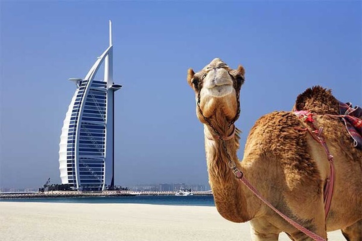 جذب میلیون‌ها توریست بیخ گوش‌مان؛ موفقیت چشم‌گیر دوبی در گردشگری