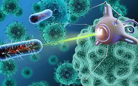 - تثبیت دارو‌های ضدسرطان به کمک نانوفناوری