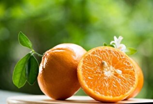 - تمام خواص آب نارنج برای درمان و زیبایی