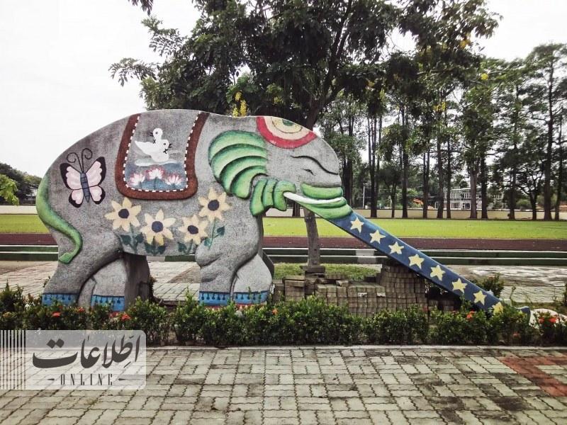 اسلایدهای فیل گمشده تایوان - در تصاویر