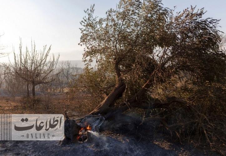 مرگ و ویرانی در پی آتش سوزی های یونان