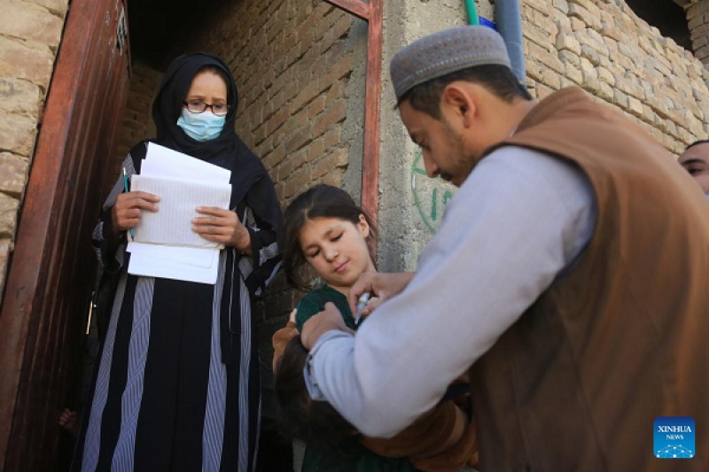طالبان یک کمپین سراسری را کلید زد +تصاویر