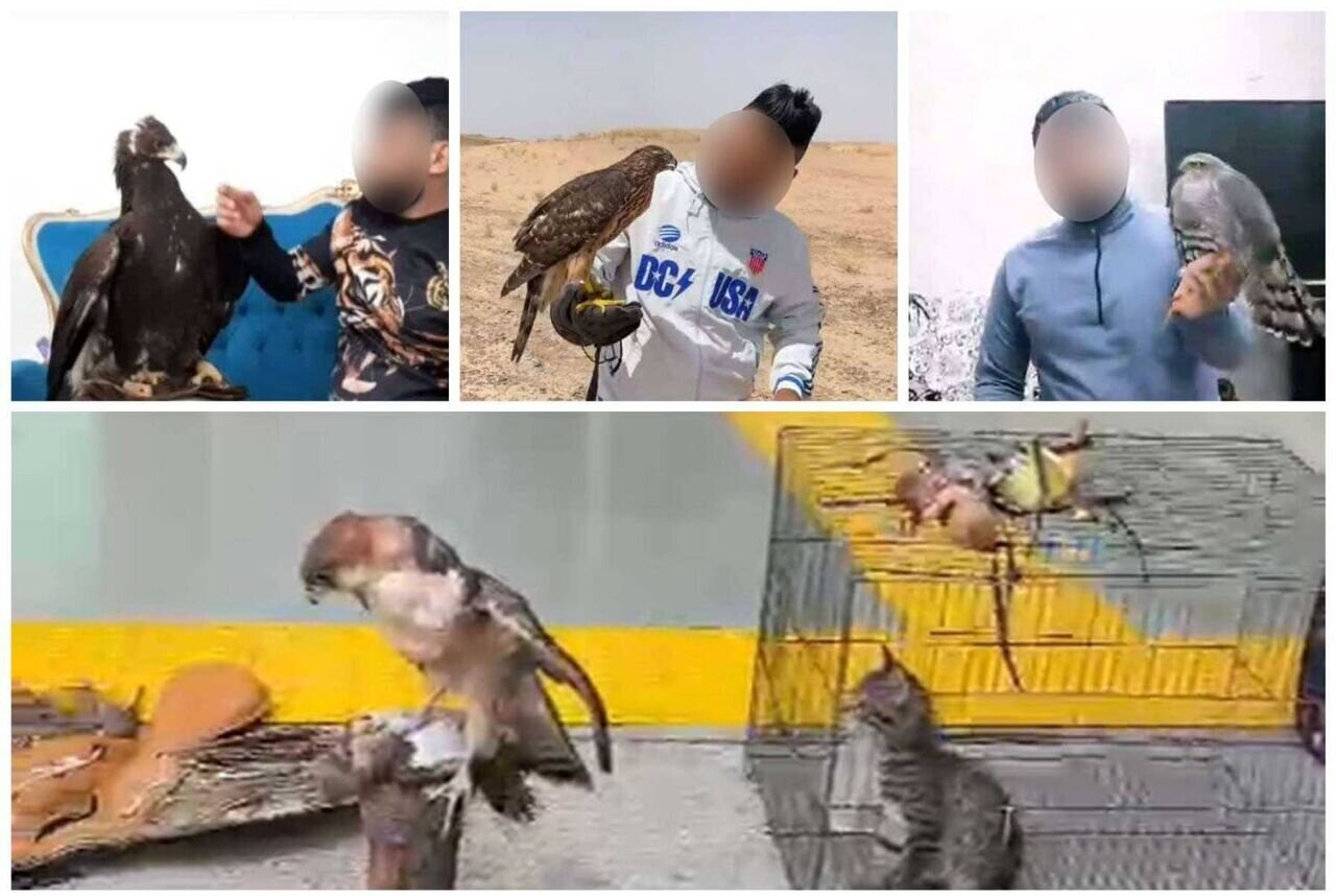 «دکتر عقاب» دستگیر شد +عکس