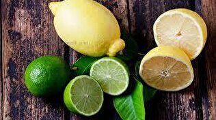 کمک ویژه به باغداران هرمزگانی در قالب خرید لیمو ترش