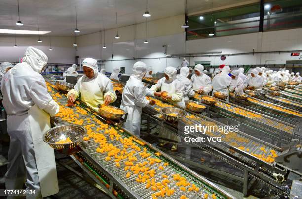 تصاویری از آماده سازی و تهیه کنسرو پرتقال در چین