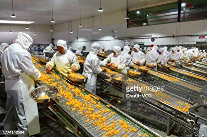 - تصاویری از آماده سازی و تهیه کنسرو پرتقال در چین