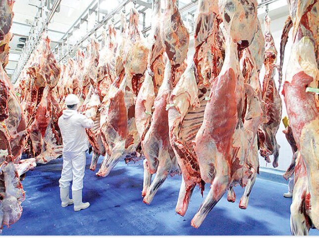 - قیمت رسمی گوشت به نزدیکی ۵۰۰ هزار تومان رسید