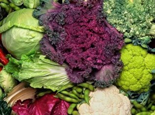 - ترفند‌های تضمینی برای از بین بردن باکتری‌های سبزیجات زمستانی