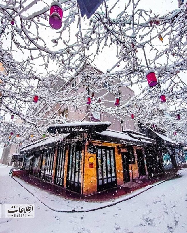 استانبول برای میزبانی از بابانوئل سفیدپوش شد +تصاویر