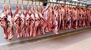 - قیمت گوشت قرمز از فردا کاهش می‌یابد؟