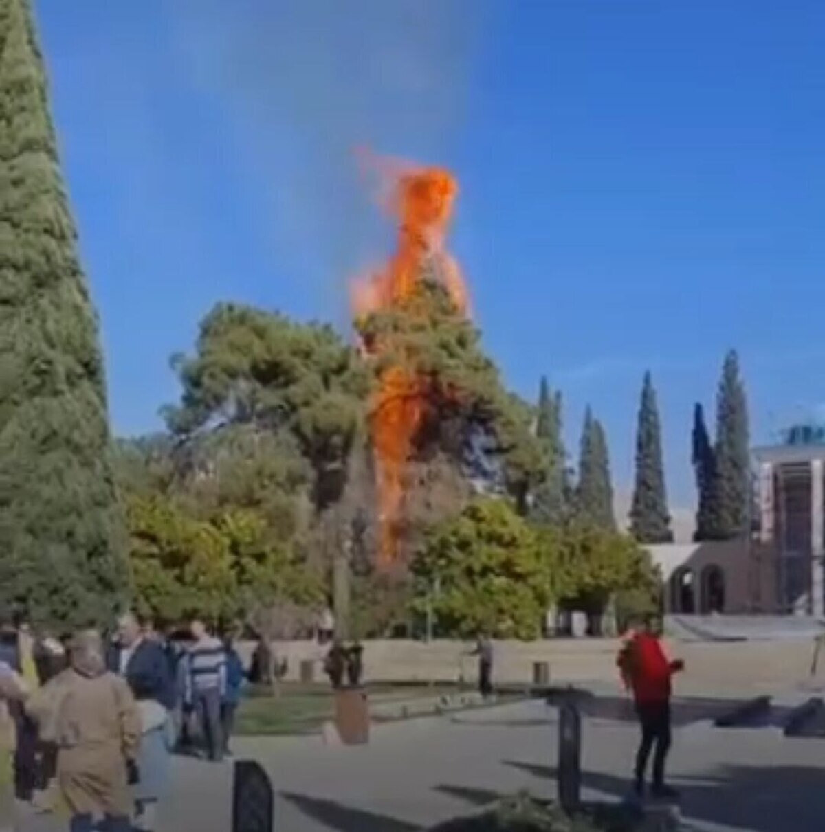ماجرای آتش‌سوزی در آرامگاه سعدی چه بود؟ +عکس