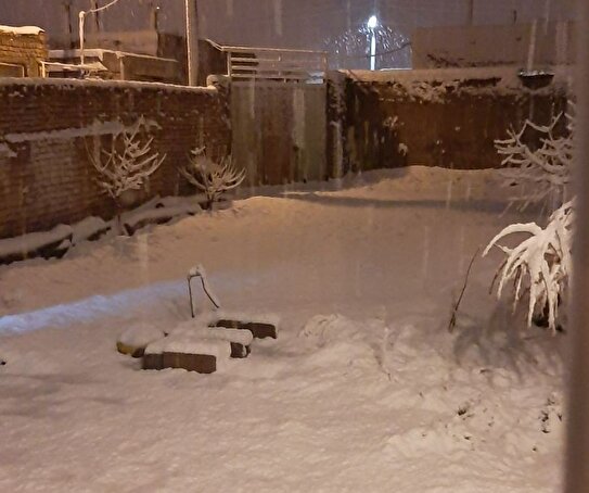 - عکسی از بارش ۱۰ سانتی‌متری برف در این استان