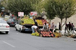 - تازه‌ترین قیمت میوه در تهران اعلام شد؛ آناناس، یک میلیون تومان!
