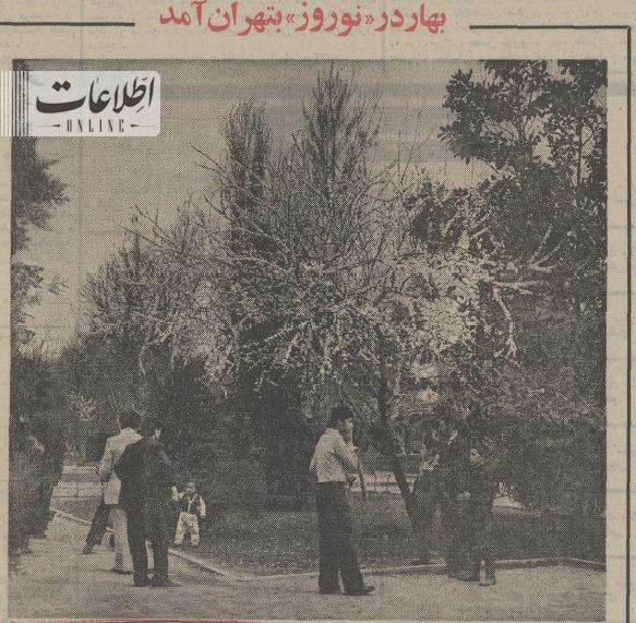 عکس‌های اختصاصی از تهران در بهار ۵۰سال پیش!