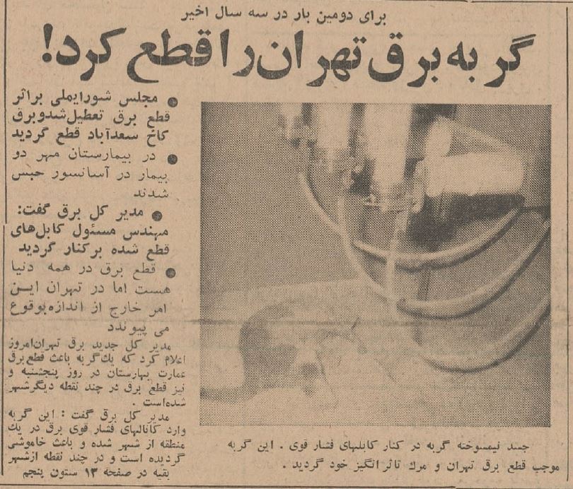 یک گربه برق نیمی از تهران را قطع کرد+ تصویر قبض برق ۶۰ سال پیش