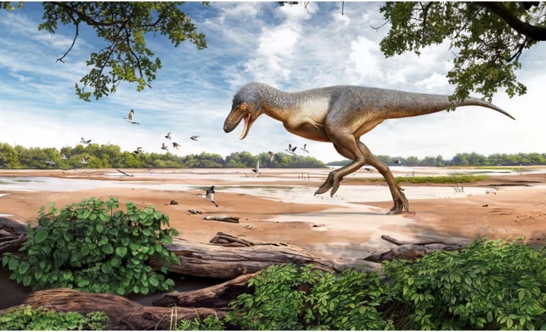 تصاویر | وقتی سه پسربچه با دیدن بقایای دایناسور ۶۷ میلیون ساله لال شدند