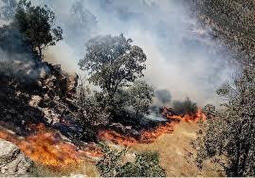 آتش سوزی جنگل‌ها بحران ساز شد، اما جلسات مسئولان تمامی ندارد
