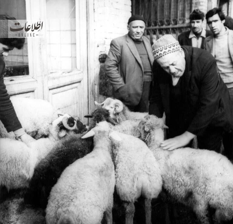 تهرانی‌ها ۶۰ سال پیش گوشت را کیلویی چند می‌خریدند؟ + عکس و نرخنامه