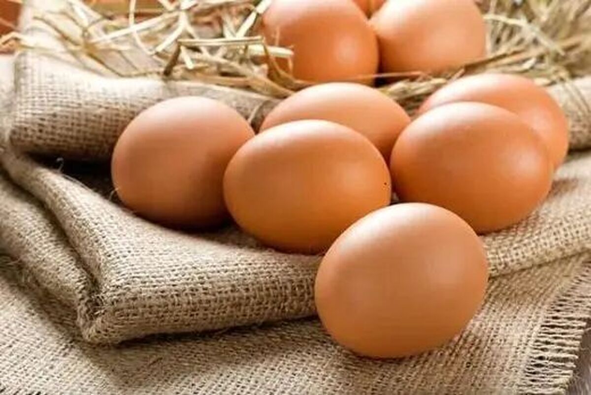 بهترین روش جلوگیری از فاسد شدن تخم مرغ