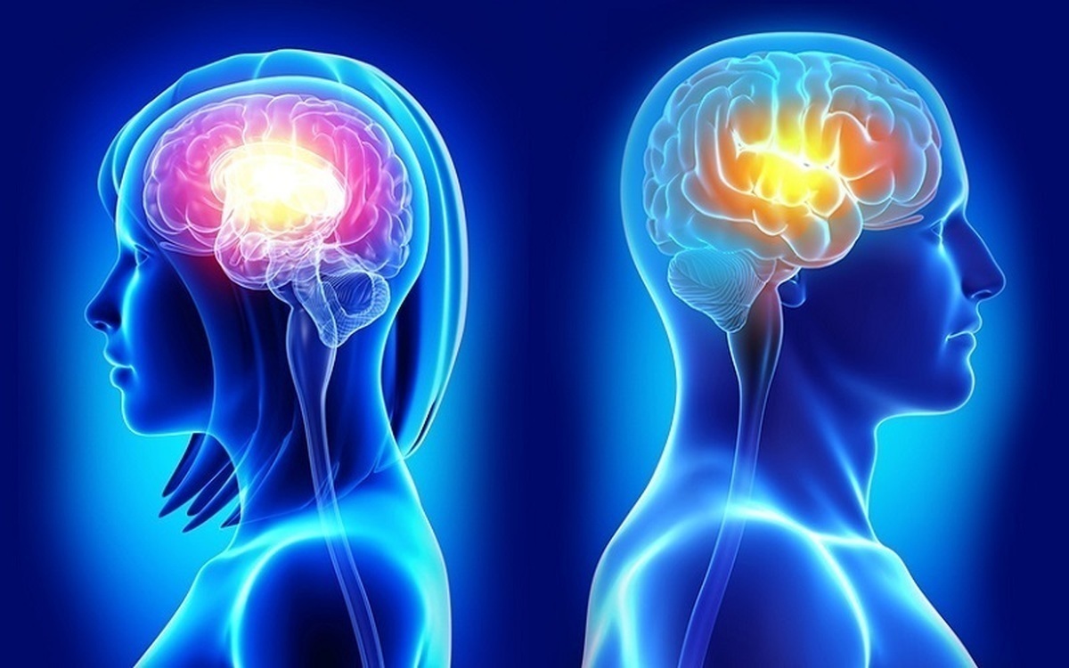 هوش مصنوعی تفاوت‌های مغز مردان و زنان را بیان کرد