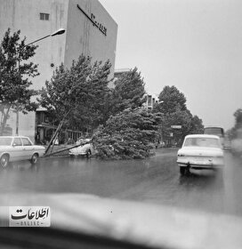 توفان تابستانی در تهران همه غافلگیر کرد! +عکس
