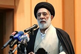 سید هادی خامنه‌ای: من اهل پیش بینی نیستم