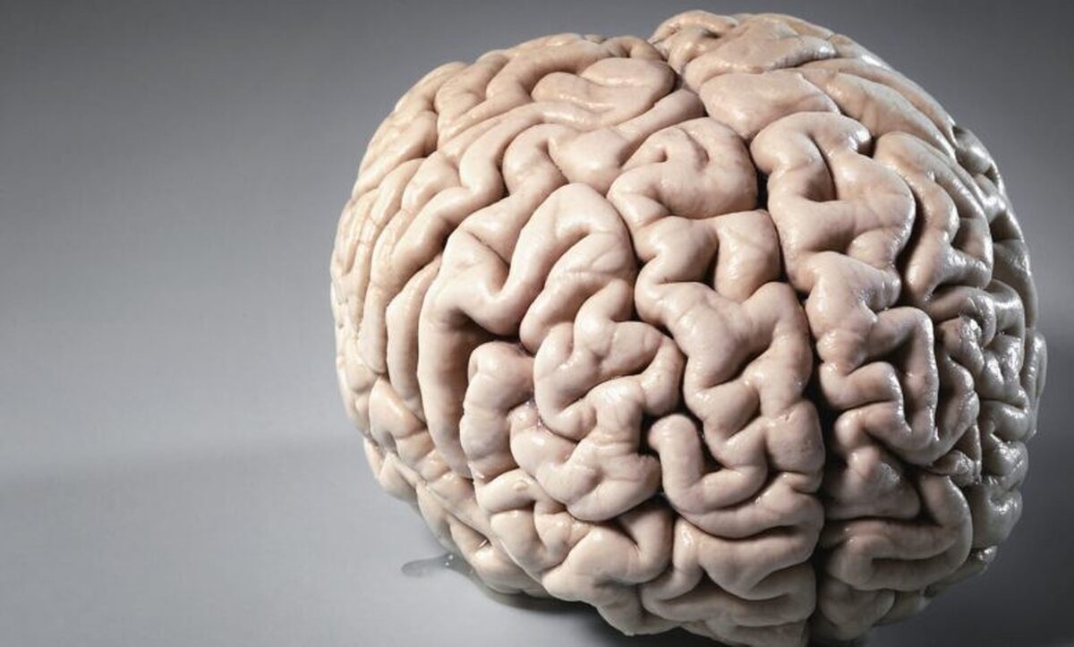 ایمپلنت در مغز انسان هم جاگذاری می‌شود